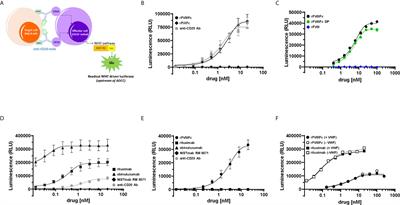 Factor VIII-Fc Activates Natural Killer Cells via Fc-Mediated Interactions With CD16